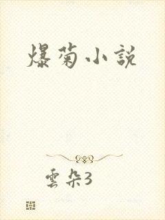 爆菊小说
