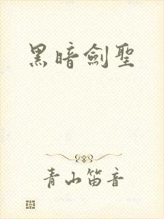 黑暗剑圣封面