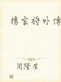 杨家将外传