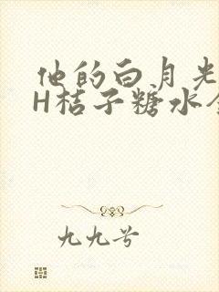他的白月光HVH桔子糖水全文封面