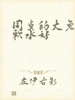 同桌的大兔子好软水好