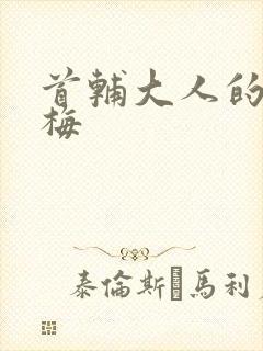 首辅大人的小青梅