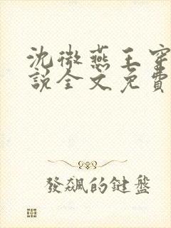 沈微燕王穿越小说全文免费阅读