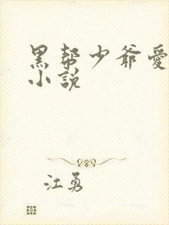 黑帮少爷爱上我小说