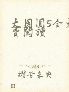 大团圆5全文免费阅读封面