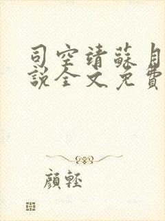 司空靖苏月汐小说全文免费阅读