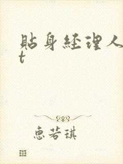 贴身经理人txt