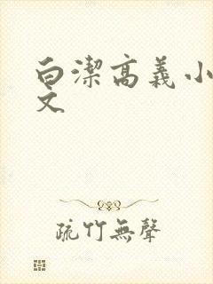 白洁高义小说全文