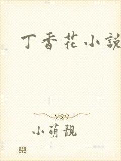 丁香花小说