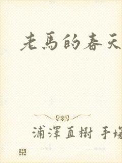 老马的春天封面