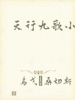天行九歌小说封面