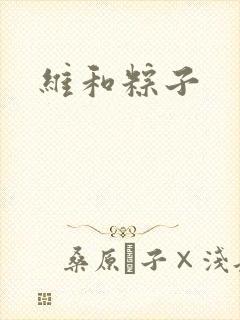 维和粽子封面