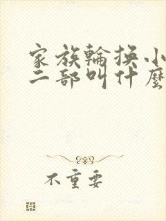 家族轮换小说第二部叫什么名字封面