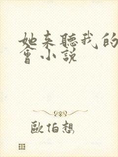 她来听我的演唱会小说