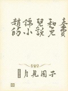 赵锦儿和秦慕修的小说免费阅读全文