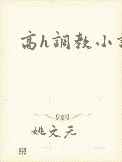 高h调教小说封面