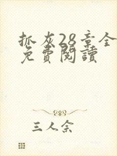 抓灰28章全部免费阅读封面