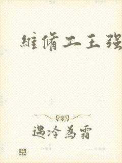 维修工王强张婷封面