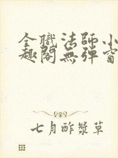 全职法师小说笔趣阁无弹窗无广告