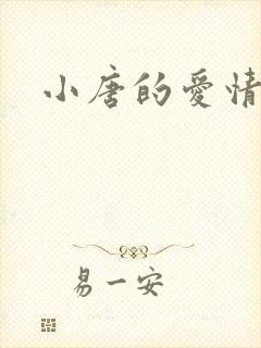 小唐的爱情史