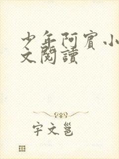 少年阿宾小说全文阅读封面