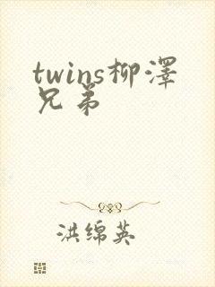 twins柳泽兄弟