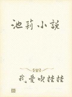 池莉小说封面