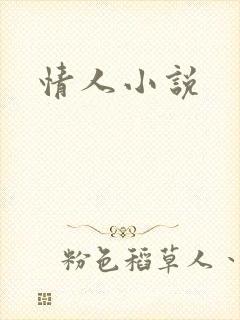 情人小说封面