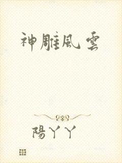 神雕风云