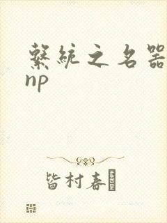 系统之名器攻略np