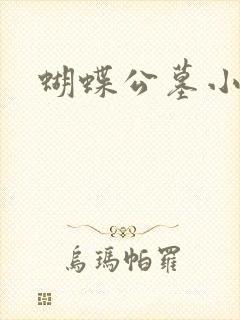 蝴蝶公墓小说