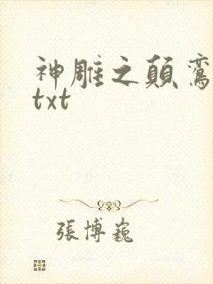 神雕之颠鸾倒凤txt封面