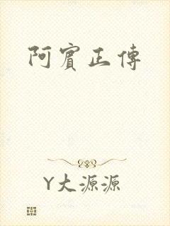 阿宾正传