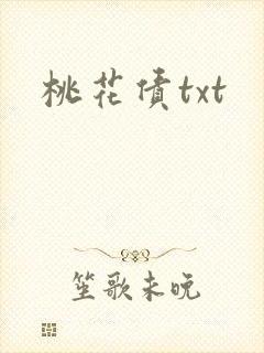 桃花债txt封面
