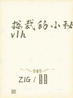 总裁的小秘书1v1h