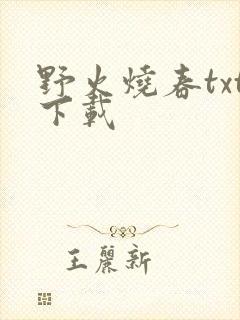 野火烧春txt下载封面