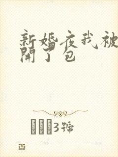 新婚夜我被伴郎开了包封面