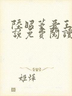 陆昭菱晋王的小说免费阅读封面