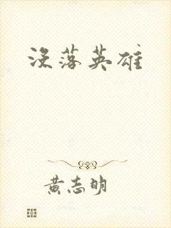 没落英雄封面