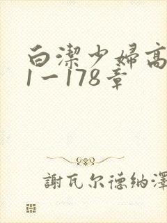 白洁少妇高义第1一178章封面