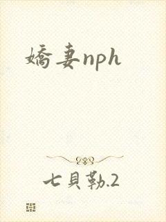 娇妻nph