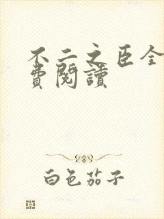不二之臣全文免费阅读封面
