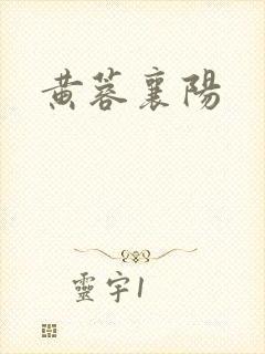 黄蓉襄阳封面