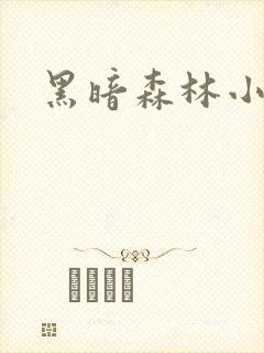 黑暗森林小说
