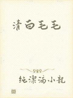 清白毛毛封面