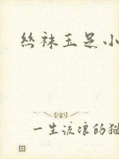 丝袜玉足小说
