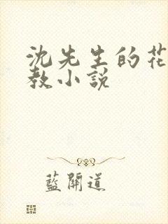 沈先生的花式调教小说封面
