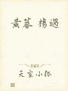黄蓉 杨过