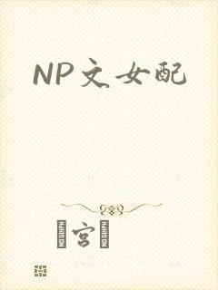 NP文女配