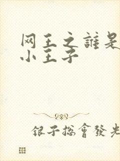 网王之谁是我的小王子